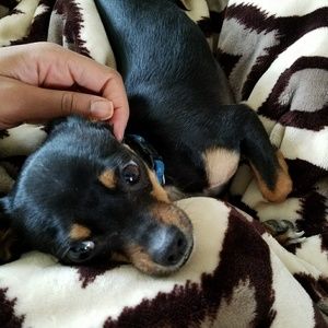 Meet your Posher, Stephanie